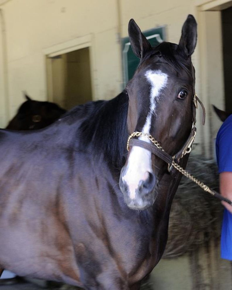 Lava Man